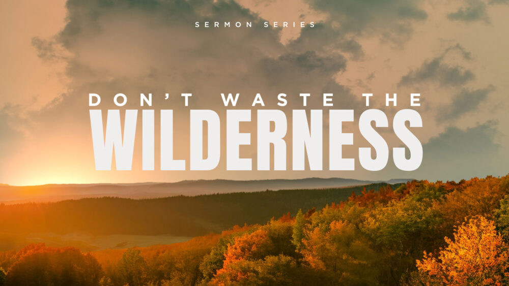 Don\'t Waste the Wilderness