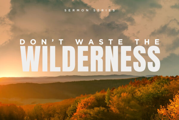 wilderness